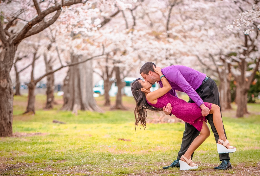 DC Cherry Blossom Photoshoot (1)